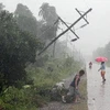 Bão gây mưa lớn tại thành phố Tagum, đảo Mindanao. (Nguồn: AFP/TTXVN)