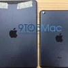 iPad 5 bị lộ chi tiết “bí mật” qua hình ảnh ốp lưng