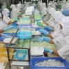 Chế biến mực xuất khẩu tại Công ty Xuất nhập khẩu thủy sản Nam Hà Tĩnh. (Ảnh: Huy Hùng/TTXVN)