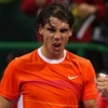 Nadal nhiều khả năng giành chức vô địch thứ 2 trong năm 2010. (Ảnh: Getty Images)