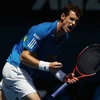 Murray không thể kìm nén được niềm sung sướng khi giành quyền lọt vào tứ kết Australia Open 2010. (Ảnh: Getty Images)