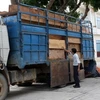 Một xe vận chuyển gỗ lậu bị bắt giữ. (Ảnh minh họa: Trần Lê Lâm/TTXVN)