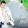 Album "Con đường mưa" của Cao Thái Sơn. (Ảnh: TT&VH)