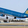 Sẽ có thêm một hãng hàng không đồng hành cùng Vietnam Airlines tại Việt Nam. (Ảnh minh họa. Nguồn: Internet)