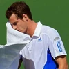 Murray trở thành cựu vô địch ngay từ vòng hai Sony Ericsson Open. (Ảnh: Getty Images)