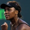 Venus Williams mạnh mẽ tiến vào chung kết. (Ảnh: Getty Images)