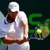 Andy Roddick đang mơ đến một Grand Slam nữa? (Ảnh: Getty Images)