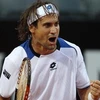 Ferrer thi đấu xuất sắc trước người đồng hương Verdasco. (Ảnh: Getty Images)