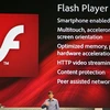 Công nghệ Flash của Adobe. (Nguồn: Internet)