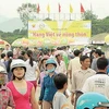 Chưa có nhiều những chương trình hàng Việt về nông thôn. (Ảnh minh họa. Nguồn: Internet)