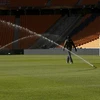 Sân vận động Soccer City sẽ sử dụng cỏ của công ty Pickseed. (Nguồn: Reuters)