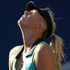 Sharapova đã có một trận đấu bế tắc và liên tục mắc lỗi. (Nguồn: Getty Images)