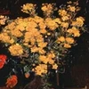 Bức tranh "Hoa Anh túc" của Van Gogh. (Nguồn: Internet)