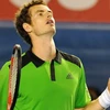 Andy Murray lần thứ hai liên tiếp góp mặt tại chung kết Australia Open. (Nguồn: Getty Images)