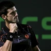 Novak Djokovic vẫn bất bại. (Nguồn: Getty Images)