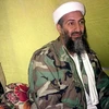 Osama bin Laden. (Nguồn: Guardian)