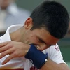 Nối tiếc cho Djokovic. (Nguồn: Getty)