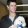 Djokovic và chó cưng Pierre. (Nguồn: sports.yahoo.com)
