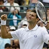 Djokovic trở thành tay vợt số 1 thế giới. (Nguồn: Getty Images)