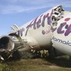 Máy bay bị gãy làm đôi. (Nguồn: Reuters)