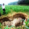 Các hố sụt lún “tự nhiên” tại xã Ninh Dân, Thanh Ba. (Nguồn: Thanhtra.com.vn)