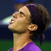 Nỗi buồn mang tên Nadal. (Nguồn: Getty Images)