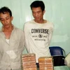 Hai đối tượng bị bắt giữ. (Nguồn: nhandan.org.vn)