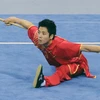Wushu là một trong những môn thế mạnh của Việt Nam. (Ảnh: Quốc Khánh/TTXVN)
