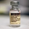Lọ vaccine tiêm chủng chống virus gây u nhú ở người (HPV). (Nguồn: Internet)