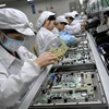 Công nhân của Foxconn. (Nguồn: msnbc.msn.com)