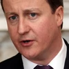 Thủ tướng David Cameron. (Nguồn: Getty Images)