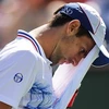 Djokovic mướt mồ hôi vì Pablo Andujar. (Nguồn: Getty Images)