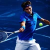 Federer thi đấu trên sân đất nện màu xanh. (Nguồn: Getty Images)