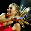 Sharapova thẳng tiến. (Nguồn: Getty Images)