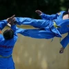 Môn võ cổ truyền Vovinam.