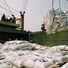 Philippines nhập khẩu gạo. (Nguồn: Internet)