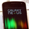 Galaxy Nexus. (Nguồn: AFP)