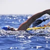 Kình ngư 62 tuổi, Diana Nyad. (Nguồn: Getty Images)