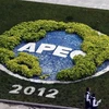 APEC vẫn tăng trưởng khá. (Nguồn: france24.com)