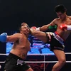 Ảnh minh họa. (Nguồn: muaythai-fighting.com)