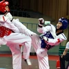 Đoàn Việt Nam giành giải nhất Taekwondo quân đội quốc tế 2011.