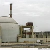 Nhà máy điện hạt nhân Bushehr. (Nguồn: AP)
