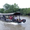 Du khách quốc tế đi du lịch bằng thuyền thăm sông Tiền, sông Hậu và các miệt vườn. (Ảnh: Anh Tuấn/TTXVN)