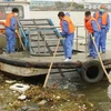 Các nhân viên môi trường vớt lợn chết trên sông Hoàng Phố. (Nguồn: AFP/Getty Images)