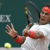 Nadal đánh bại Tsonga để đối đầu Djokovic. (Nguồn: Getty Images)