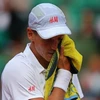 Berdych chia tay Roland Garros 2013. (Nguồn: Getty Images)