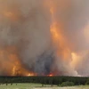 Cháy rừng ở bang Colorado. (Nguồn: AP)