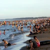 Người dân đổ về bãi biển Cửa Lò (Nghệ An) tắm biển. (Ảnh: Trọng Đức/TTXVN)