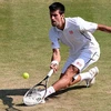 Hạ gục del Potro, Djokovic vào chung kết Wimbledon