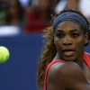 Serena vào chung kết. (Nguồn: AP)
